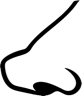 Nesvis logo